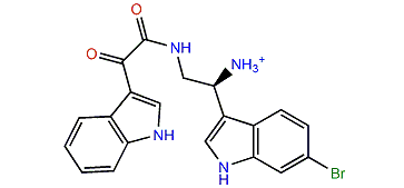 Calcicamide B